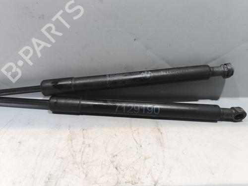 Hood lift support BMW 3 (E90) 318 d | BP29339014C139 