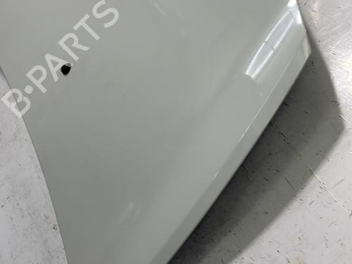 Hood RENAULT CLIO III (BR0/1, CR0/1) 1.5 dCi (C/BR0G, C/BR1G) | BP22844505C1