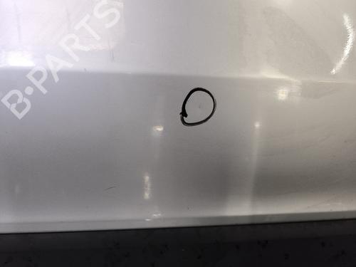 Right slide door RENAULT TRAFIC III Van (FG_) 1.6 dCi 145 (FGMG) | BP32382884C75