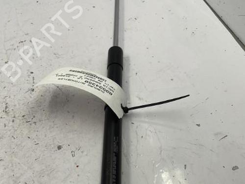 Used Hood lift support DACIA SANDERO II TCe 90 (B8M1, B8MA, B8AC) (90 hp) 22837423