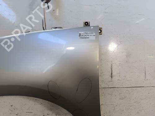 Left front fenders RENAULT SCÉNIC III (JZ0/1_) 1.5 dCi | BP28525886C41 