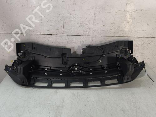 Grille CITROËN C3 III (SX) 1.2 THP 110 (SXHNPS, SXHNZT, SXHNZ6) | BP30088264C40 