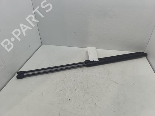 tailgate-lift-support-renault-kangoo-express-fc01_-1997-32228327 main image