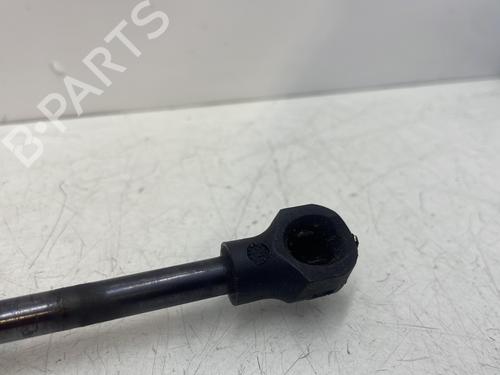 hood-lift-support-renault-clio-iv-bh_-2012-2013-2014-2015-2016-2017-2018-2019-2020-2021-28963471 main image
