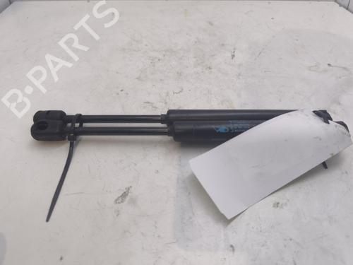 Used Hood lift support RENAULT SCÉNIC III (JZ0/1_) 1.9 dCi (JZ0J, JZ1J, JZ1K, JZ1S) (131 hp) 26659448