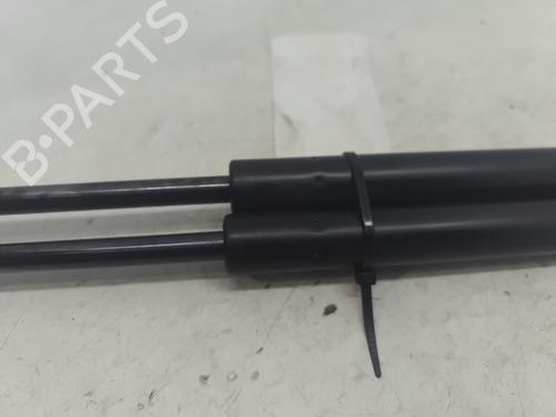 Tailgate lift support RENAULT KANGOO Express (FC0/1_) 1.5 dCi | BP32228327C138