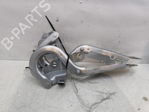 Used Hinge/Door check strap RENAULT ESPACE V (JR_) [2015-2023]  29869092