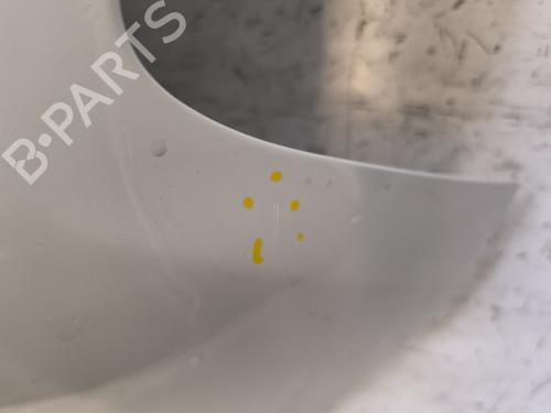 Tailgate RENAULT ZOE (BFM_)  | BP34259764C6  - Image 6