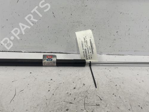 Hood lift support DACIA SANDERO II TCe 90 (B8M1, B8MA, B8AC) | BP22846066C139 