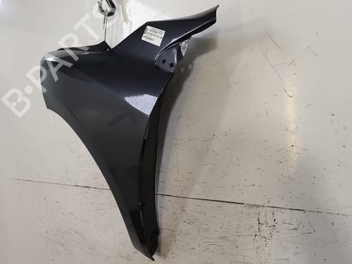 Błotnik przedni lewy RENAULT MEGANE III Hatchback (BZ0/1_, B3_) 1.5 dCi (BZ09, BZ0D, BZ1W, BZ29, BZ14) | BP29894138C41