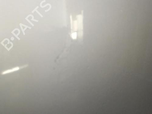Hood CHRYSLER VOYAGER IV (RG, RS) 2.8 CRD | BP22818846C1 