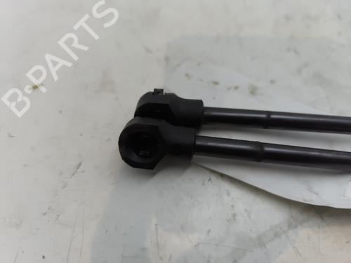 Tailgate lift support DACIA SANDERO II 1.0 SCe 75 (B8JC, B8JD, B8NC) | BP29213460C138 