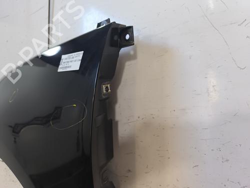 Left front fenders RENAULT SCÉNIC III (JZ0/1_) 1.5 dCi | BP28004300C41 