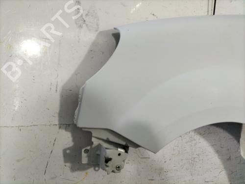 Left front fenders RENAULT KANGOO (KC0/1_) 1.5 dCi | BP24053861C41 