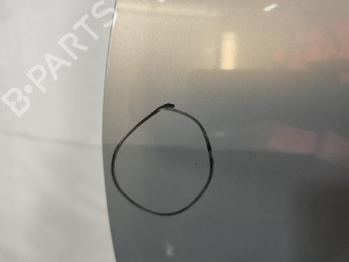 Left front door RENAULT MEGANE II (BM0/1_, CM0/1_) 1.6 16V (BM0C, CM0C) | BP29165449C2 