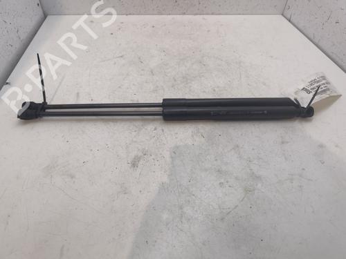 Used Hood lift support RENAULT MEGANE IV Grandtour (K9A/M/N_) 1.5 Blue dCi 115 (K9A6) (116 hp) 28134581