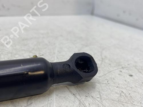 Hood lift support RENAULT CLIO IV (BH_) 0.9 TCe 90 (BHNF, BHMA, BHMH, BHJK, BHJR) | BP29894271C139