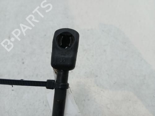 Hood lift support VW EOS (1F7, 1F8) 2.0 FSI | BP29960034C139
