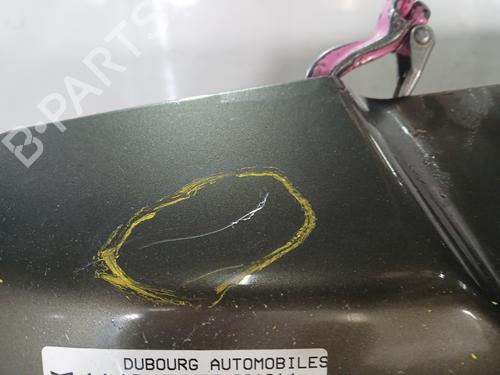 Tailgate NISSAN PATHFINDER III (R51) 2.5 dCi 4WD | BP30445881C6 