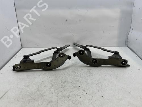 Hinge/Door check strap FIAT 500 C (312_) 1.4 (312CXC1B, 312AXC1B) | BP29598746C146 