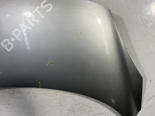 Hood RENAULT SCÉNIC III (JZ0/1_) 1.9 dCi (JZ0J, JZ1J, JZ1K, JZ1S) | BP24227676C1