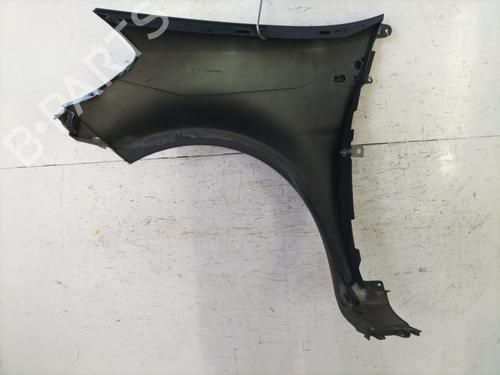 Right front fenders RENAULT CLIO III (BR0/1, CR0/1) 1.2 16V | BP30647424C42