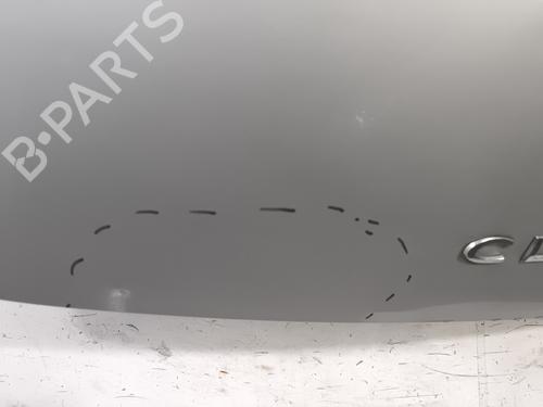 Tailgate RENAULT CLIO III (BR0/1, CR0/1) 1.5 dCi (C/BR0G, C/BR1G) | BP30134668C6