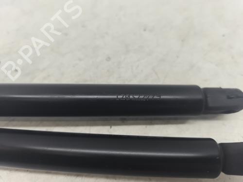 Tailgate lift support RENAULT KANGOO Express (FC0/1_) 1.5 dCi | BP32228327C138