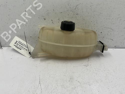 Used Expansion tank RENAULT TRAFIC II Bus (JL) 2.0 dCi 90 (JL00, JL01, JL0H, JL0M, JL0P, JL0S) (90 hp) 24469040