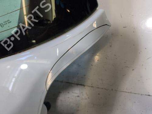 Tailgate RENAULT CLIO III (BR0/1, CR0/1) 1.5 dCi | BP29598735C6 
