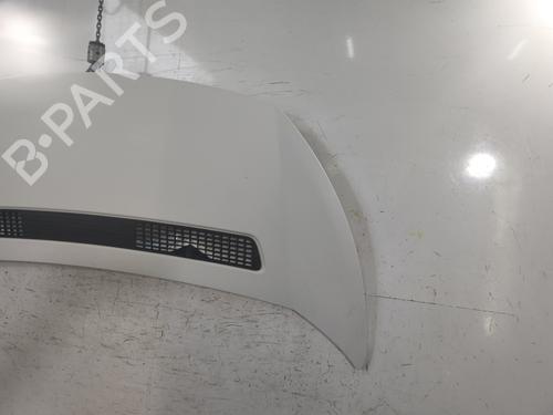 Hood PEUGEOT EXPERT Van (VF3A_, VF3U_, VF3X_) 2.0 HDi 165 | BP28823939C1 