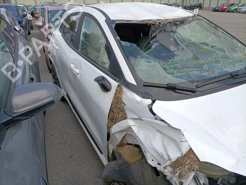 Hattehylde FORD PUMA (J2K, CF7) 1.0 EcoBoost mHEV | BP30973573C85  - Image 18