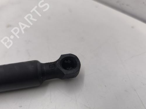 Used Hood lift support RENAULT ZOE (BFM_) ZOE (92 hp) 26732175