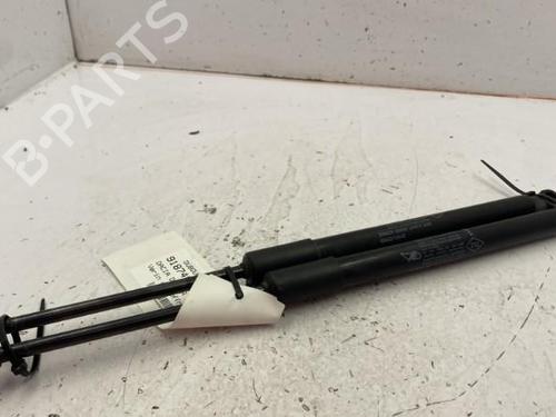 Tailgate lift support DACIA DUSTER (HS_) 1.5 dCi 4x4 | BP22840250C138 