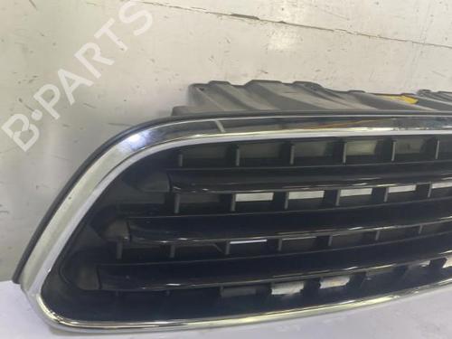 Grille MINI MINI COUNTRYMAN (R60) One | BP22841809C40 
