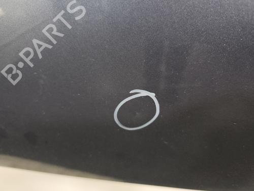 Left front door RENAULT TWINGO II (CN0_) 1.2 16V (CN0K, CN0V, CN0A) | BP29377437C2 