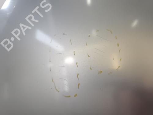 Motorhjelm RENAULT ESPACE IV (JK0/1_) 2.0 Turbo (JK0A, JK0B, JK0N) | BP30874695C1