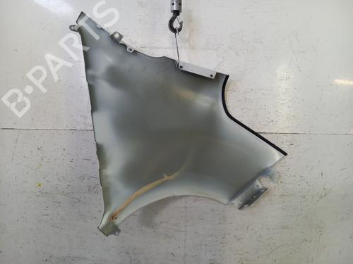 Left front fenders RENAULT MASTER III Van (FV) 2.3 dCi 165 RWD (FV0P, FV0U, FV10, FV12, FV1E) | BP31582254C41 