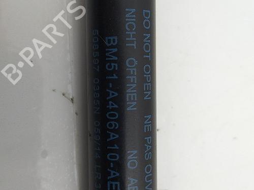 Tailgate lift support FORD FOCUS III 1.6 TDCi | BP22824470C138 