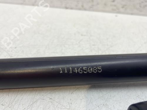 Tailgate lift support RENAULT CLIO IV (BH_) 1.5 dCi 110 | BP28709617C138