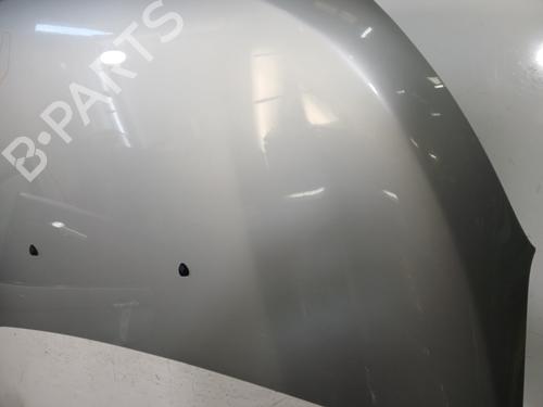 Hood DACIA LODGY (JS_) 1.2 TCe (JSAY, JSM0) | BP30184203C1 