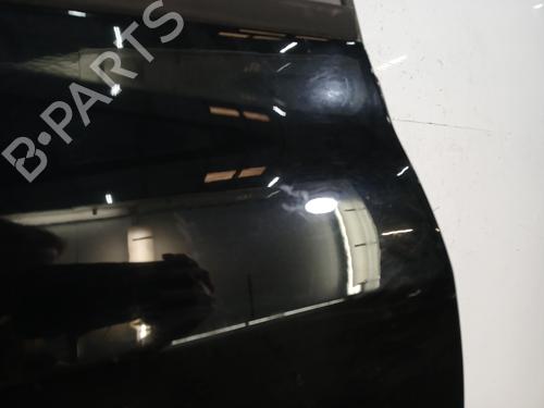 Right rear door RENAULT CLIO III (BR0/1, CR0/1) 1.5 dCi | BP29640014C5 