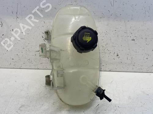 Used Expansion tank RENAULT TRAFIC III Van (FG_) 1.6 dCi 120 (FGMB, FGMC) (120 hp) 27348169