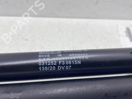 tailgate-lift-support-dacia-duster-hs_-2010-2011-2012-2013-2014-2015-2016-2017-2018-31090775 main image