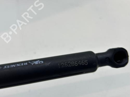 tailgate-lift-support-dacia-logan-mcv-ii-2013-36004252 main image
