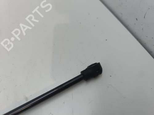 Hood lift support DACIA SANDERO II TCe 90 (B8M1, B8MA, B8AC) | BP26911386C139 