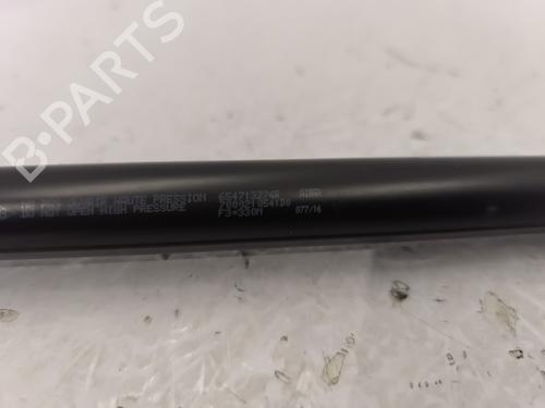 Hood lift support DACIA SANDERO II 1.5 dCi | BP25758094C139 