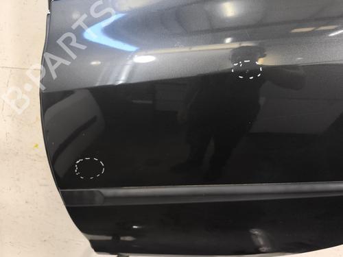 Left rear door RENAULT CLIO III (BR0/1, CR0/1) 1.5 dCi (C/BR0G, C/BR1G) | BP28181132C4 