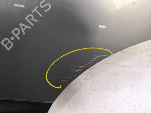 Left rear door NISSAN QASHQAI / QASHQAI +2 I (J10, NJ10, JJ10E) 1.5 dCi | BP27558610C4 