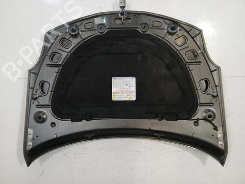 Hood ALFA ROMEO GIULIETTA (940_) 2.0 JTDM (940.FXL1A) | BP29639969C1 